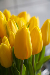 Close-up on yellow tulips in a vase.