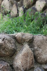 Fototapeta na wymiar stones in the grass