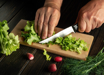 The chef prepares lettuce and radish salad at home cutting with a knife. Vegetarian cuisine or food