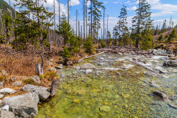 Stream in High Tatras mountains © Rui Vale de Sousa