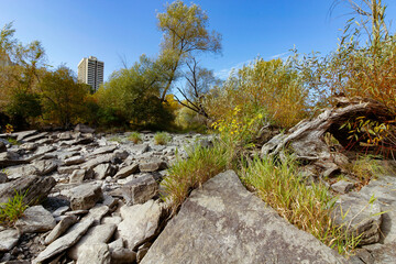 Rocky River Bed