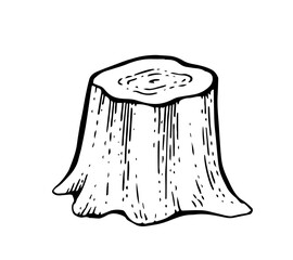 Simple Wooden stump. Remaining tree with roots. Forest or garden plant. Hand drawn outline sketch. Isolated on white background. Vector.
