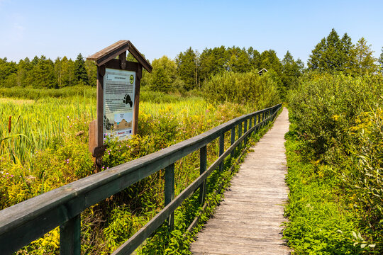 Educational path 13 Blota Stop across Bagno Calowanie Swamp wildlife reserve in Podblel village south of Warsaw in Mazovia region of Poland