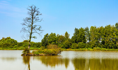 Fishing pond Lowisko Calowanie within in Bagno Calowanie Swamp wildlife reserve during summer season in Podblel village south of Warsaw in Mazovia region of Poland