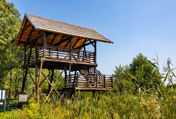 Observatory tower and platform overlooking Bagno Calowanie Swamp wildlife reserve in Podblel village south of Warsaw in Mazovia region of Poland - obrazy, fototapety, plakaty