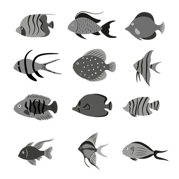Vector tropical fish silhouette set. Vector fish illustration.