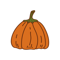 Pumpkin flat. Harvest garden vegetables. Autumn holiday. Ripe melon vegetable. Vegetarian food. Hand drawn vector illustration.