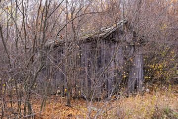 Abandoned old wooden house. Dilapidated and abandoned. Overgrown with forest. Horrible. Scary. Not residential.