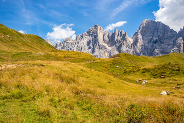 Fototapeta na wymiar Mountain panorama in San Martino di Castrozza, Trentino Alto Adige, Italy