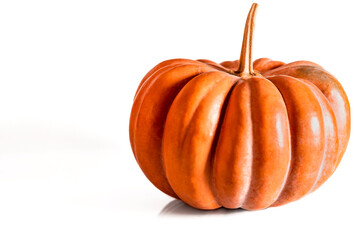 Autumn harvest. Orange pumpkin stands on a white background with space for text