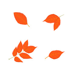 Fototapeta na wymiar Autumn leaves set, isolated on white background. Simple cartoon flat style. Isolated vector illustration. Design for stickers, logo, web and mobile app.