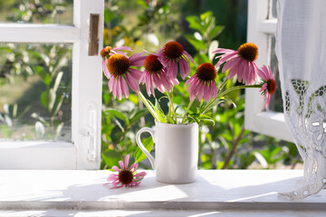 Bouquet of echinacea on window sill - obrazy, fototapety, plakaty