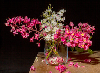 Flowers of horse chestnut, common and red, on a table in a glass vase on a black background Aesculus hippocastanum L ;