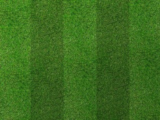Field Grass texture with mowing pattern