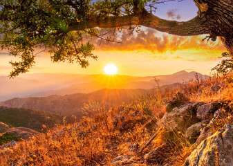 picturesque view from under the branch of a tree on a mountain slope to a mountains and sunset or sunrise valley with anazing clouds and glow