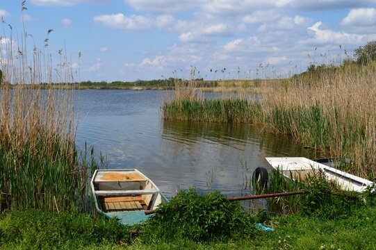 a boat on the river bank
