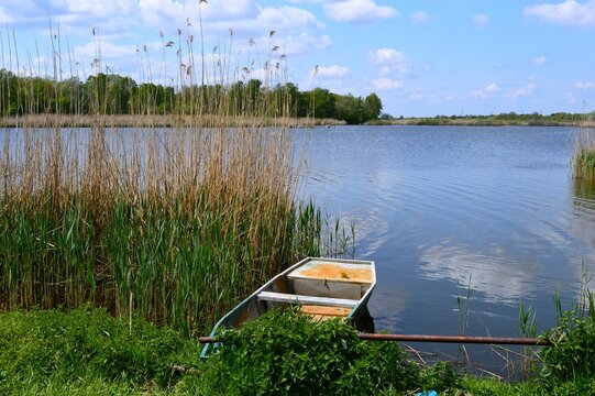 a boat on the river bank