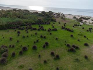 Obraz premium Aerial view forest tree, Rainforest ecosystem and healthy environment concept and background, Texture of green tree forest top view from above, forest in Jijel Algeria Africa, African forest