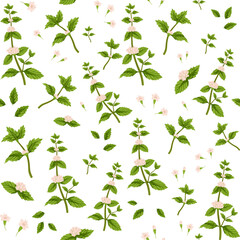 Collection of seamless patterns with the
image of mint and lemon and ginger and honey