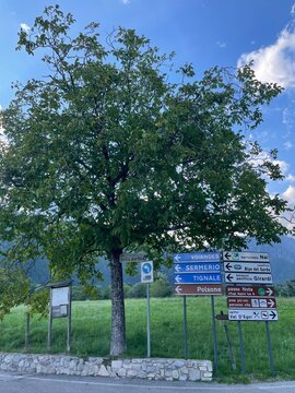 Directional arrows with tree Vesio, Lake Garda, Italy