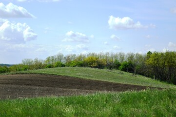 Fototapeta na wymiar cultivated land in the plain