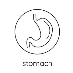 Fototapeta premium icon stomach