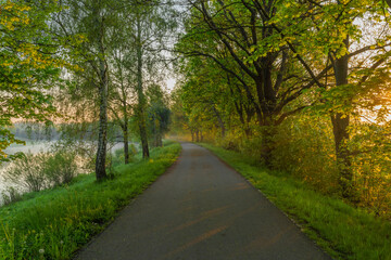 Asphalt path for bikes near Ceske Budejovice city in spring fresh morning