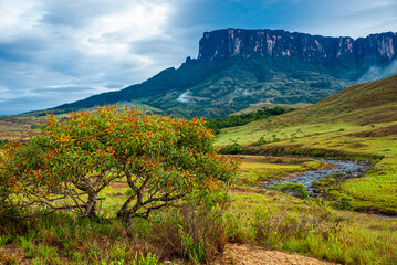 Expedition to Mount Roraima, approaching the mountain, Venezuela