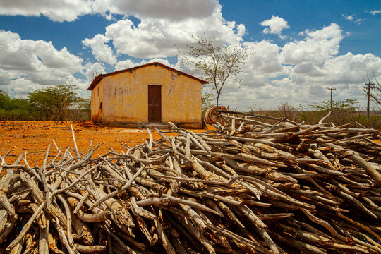 House in a landscapes of caatinga and brazilian wild - para&iacute;ba, brazil