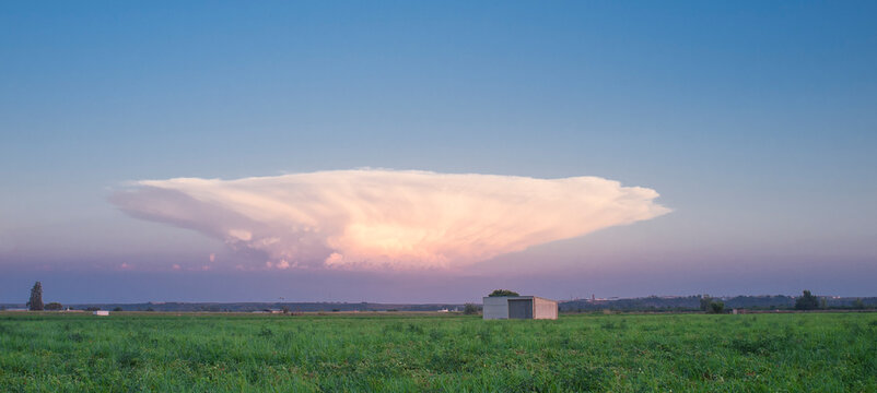 Cumulonimbus capillatus cloud over tomato field