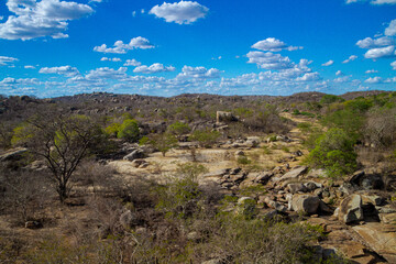 landscapes of caatinga and brazilian wild - paraíba, brazil