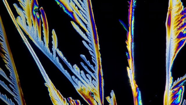 Super beautiful video of growing citric acid crystals in polarized light under a microscope. Multiple magnification. Amazing micro world hidden from human eyes. Time-lapse video