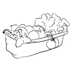 Fruit Basket Coloring Page For Kids, Vector illustration Ai File And Image
