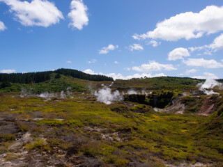 Naklejka na ściany i meble Geothermal Steam Landscape