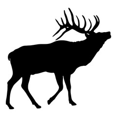 Silueta de ciervo de pie