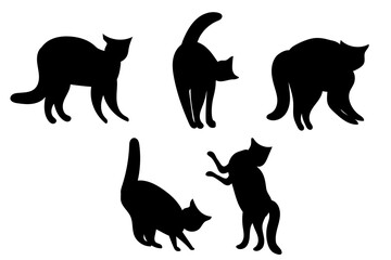 Set of cats. Domestic kitten. Black silhouette of funny kitty.