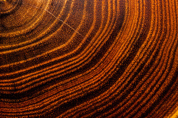 Fototapeta premium Acacia wooden texture natural background