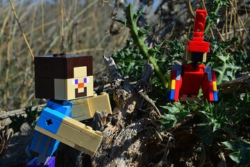 Fototapeta premium LEGO Minecraft large figure of Steve rescuing his red Minecraft parrot siting on spiky thistle plant. Summer daylight sunshine, blue skies in background. 