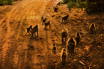 Baboons walking on a dirt road in the Serengeti National Park. A conservation area with wildlife in the African savanna of Tanzania. Oil paint filter.