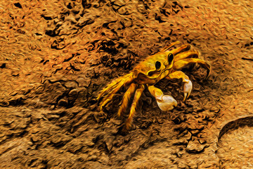 Close-up of a crab on sand in the beach of Juquehy. An amazing and tropical village in the southeastern coast of Brazil. Oil paint filter.
