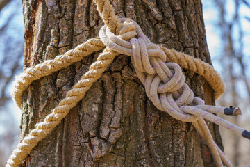 Tourist knot on a rope. Background with copy space