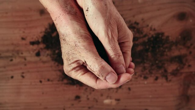 Potting soil and gardener