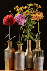 Homemade vases with gilding and silvering from bottles with bright flowers of zinnia, dahlia and...