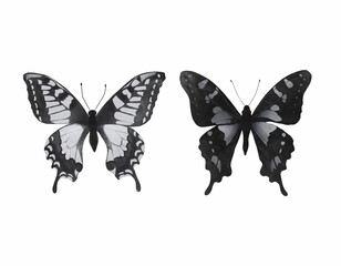 Set of realistic butterflies. Collection of vintage elegant illustrations of butterflies.Design element for your project. Black and white butterflies set