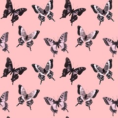 Set of realistic butterflies. Collection of vintage elegant illustrations of butterflies.Design element for your project. Black and white butterflies set