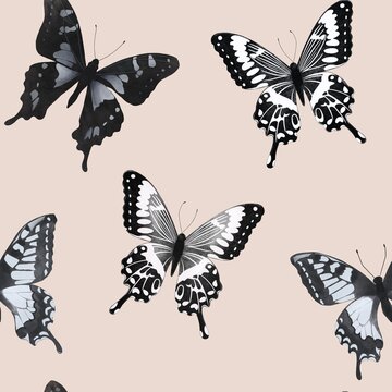 Elegant seamless pattern with flying contour decorative butterflies. Boho magic background with gray space elements stars, butterflies. Doodle text