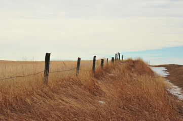 barbed wire fence along farmers dried fall field in the countryside of Alberta, Canada