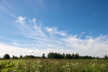 Cirrus Clouds on Blue Sky