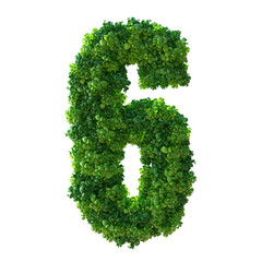 Number 6, Alphabet. Green plant number isolated with Clipping Path. 3d illustration. leaves, grass, moss, basil, mint.