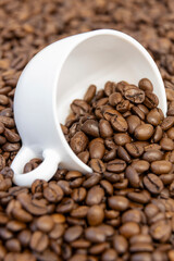 Coffee beans in a white cup, vertical photo of freshly roasted coffee.